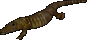 Aligator.gif