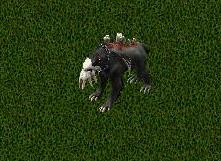 Doom Hellhound.JPG