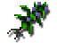 Nightshade2.png