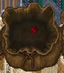 RedLeaves.jpg