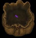 Rose of Trinsic.JPG