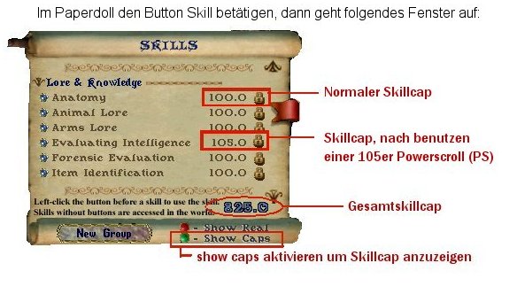Skillcap.jpg