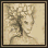Sw 12.gif