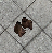 Talon detective.png