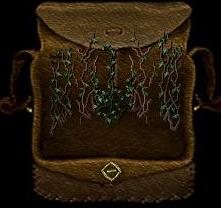 Vines.JPG