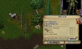 Animal Taming 1.JPG