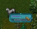 Animal Taming 6.JPG