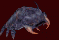 Antlion.gif