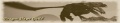 Banner.jpg