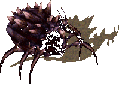 Blackantqueen.gif