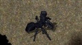 Blackantwarrior 2.jpg
