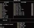 Custom1.JPG