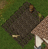 Garden.png