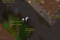 Vorschaubild der Version vom 29. Juni 2011, 22:25 Uhr
